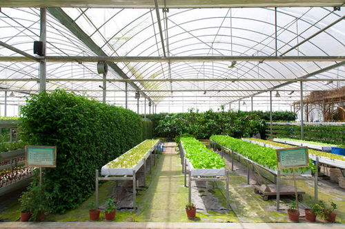 紫菜蛋花汤 中式简约之味