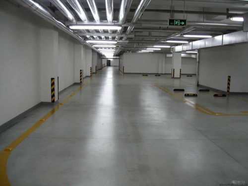 汝南县金刚砂耐磨地面施工与园林绿化造价概览