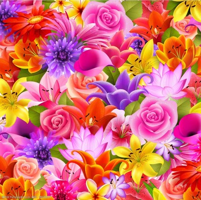 花卉背景图片的养护管理工程 打造持久美观的色彩世界