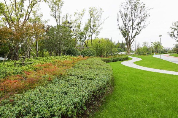 道路绿化带施工与养护管理工程方案——以深圳华富街道为例