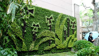 融合美学与生态 阳台花园设计中堂假山喷雾景观的构建与养护管理