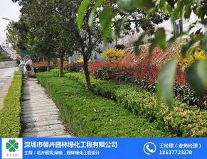 深圳馨卉园林 小区绿化带施工与养护管理工程，价格优惠，品质卓越